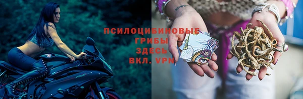 героин Пересвет