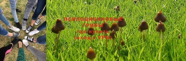 бошки Пестово